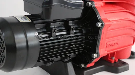 Swimming Pool Water Filter Motor Pump, Swimming Pool Pump