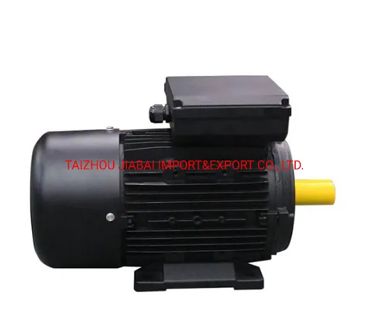 Ml Capacitor Starting and Capacitor Running Single Phase Electric Motor