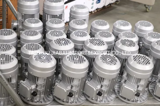 Latest Design Single Phase 220V Induction Electric  Motor