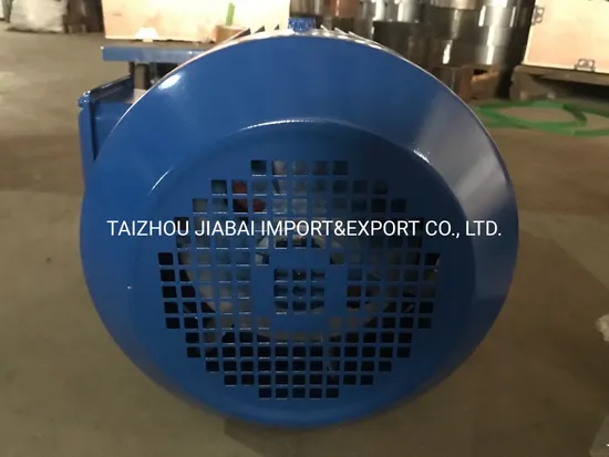 Low Voltage Large Power Three Phase Asynchronous Motor