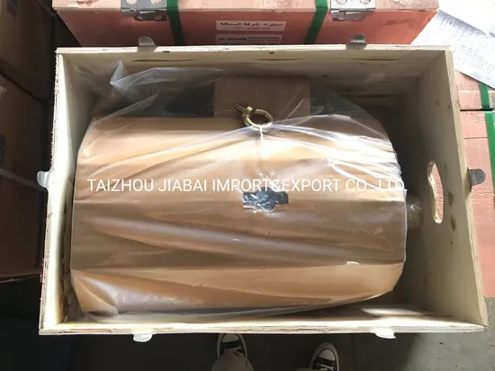 Yc Vertical Horizontal Asynchronous Electric/Electrical AC Motor Motor