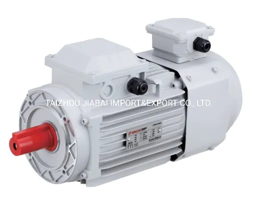 Frequency Variable Speed Adjustable Regulation Three Phase Motor