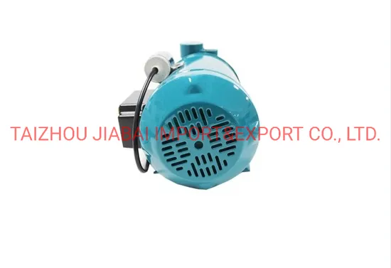 Pm16 Factory Directly Copper Wire Brass Impeller Electrical Peripheral Pump