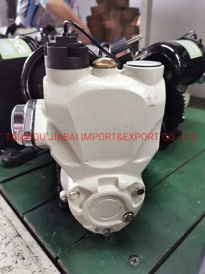 Pond Irrigation Self-Priming Auto Water Pump with Terminal Block