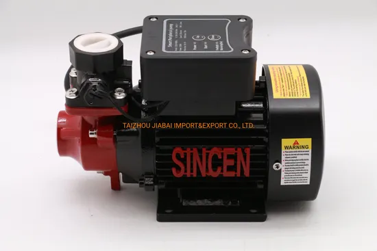 Smart Intelligent Qb60 Booster Hot Water Pump
