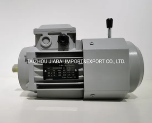 Durable Using High Quality Yej Series Electromagnetic Braking Asynchronous Motor