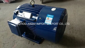 Ie1 (Y/Y2/Y3) Three Phase Induction Motor with CE Certificate