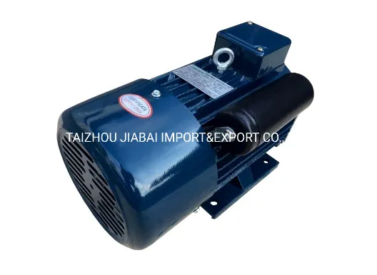 Yc Capacitor Start Single Phase Induction Electric Motor