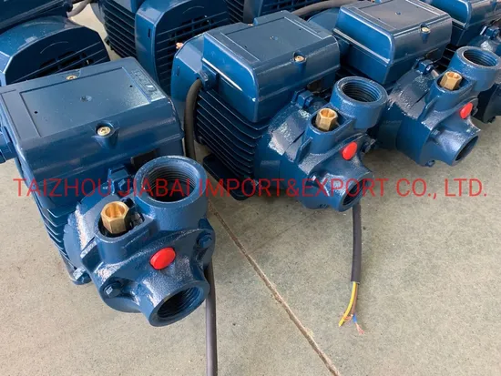 Electric Water Pump Small Pump for Domestic, 0.37kw/0.5HP Pm16
