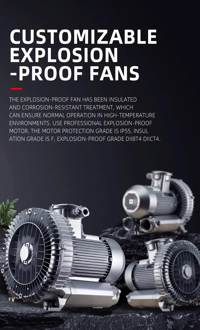 High Pressure Vacuum Pump Side Channel Ring Blower for Aquaculture