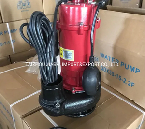 Qdx Electric Pumps with High Quality Submersible Water