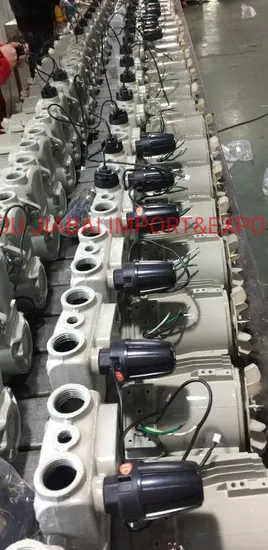 Domestic Electrical Auto Control Water Pump with Pressure Tank