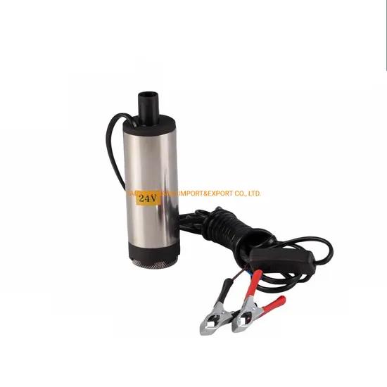 Mini 12L/Min High Quality Submersible Transfer Pump Fuel Water Oil