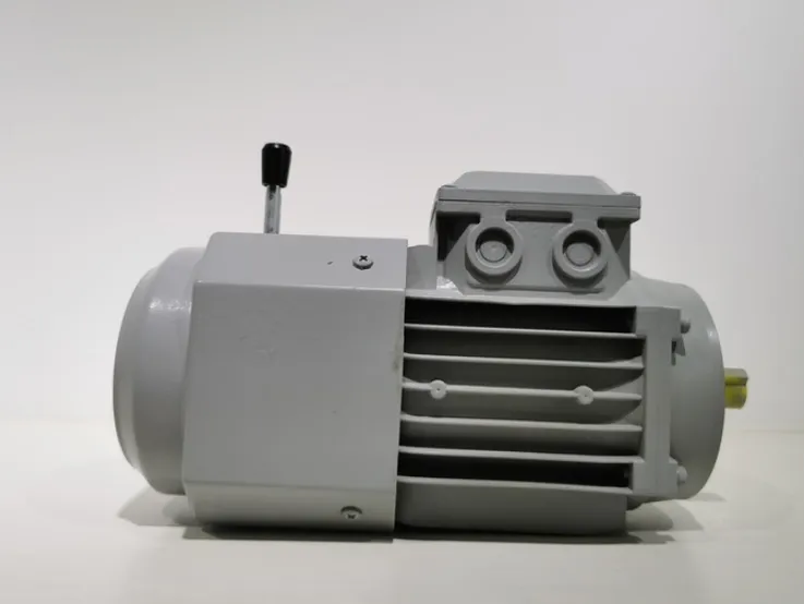 Durable Using High Quality Yej Series Electromagnetic Braking Asynchronous Motor