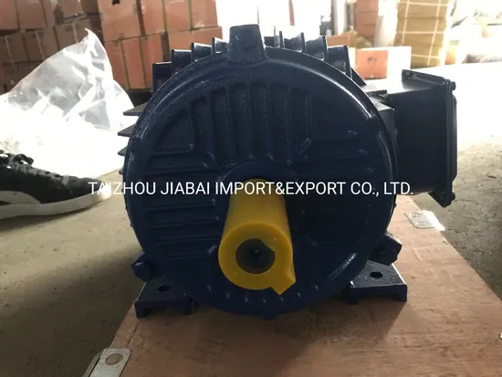 Y2 Three Phase Asynchronous Electric Motor with Flange