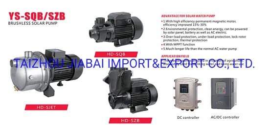 Home Use AC DC 750W Compatible High Quality Vacuum Solar Pump