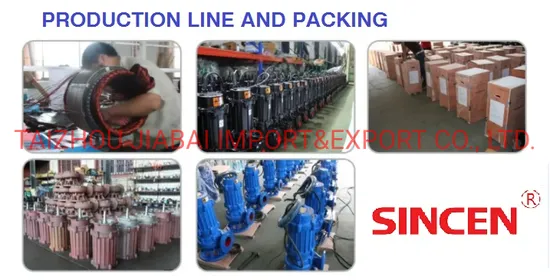 Wq Series Submersible Sewage Water Pump (cast iron)