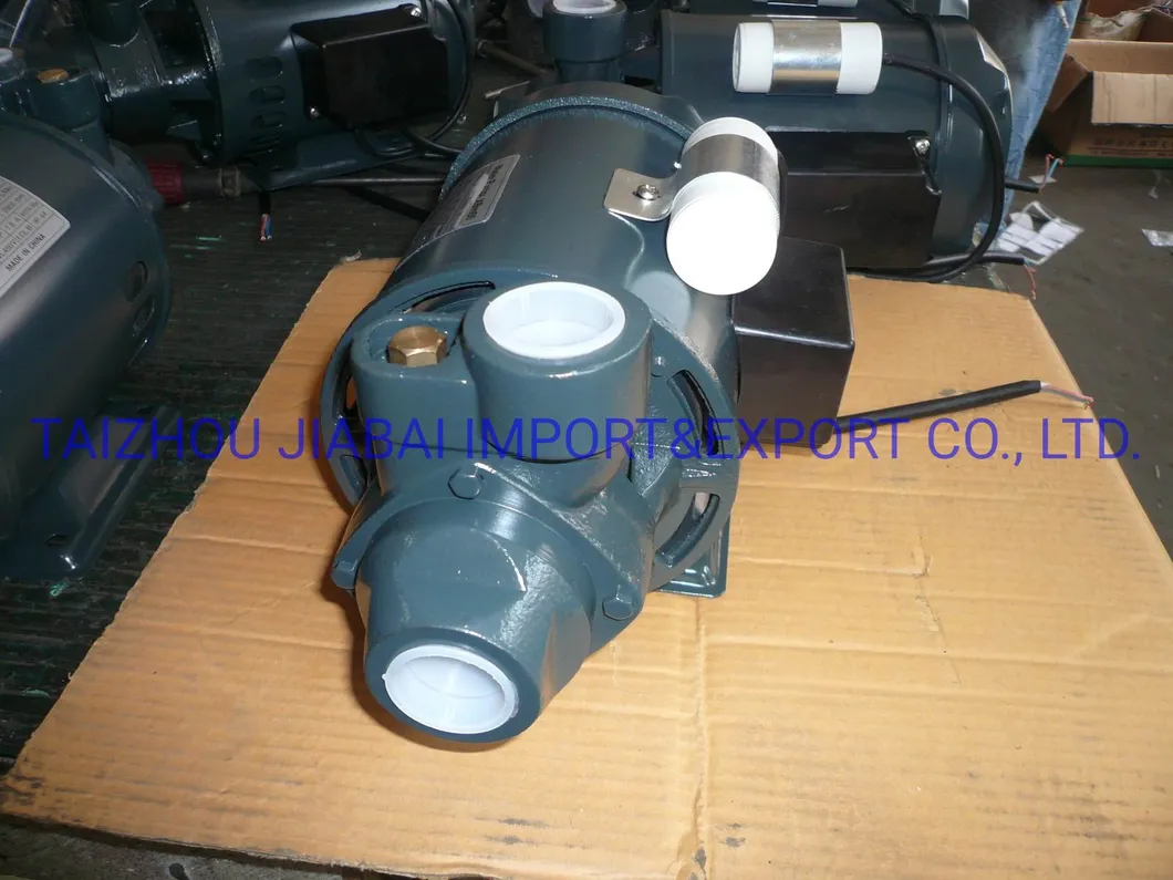 Pm16 Factory Directly Copper Wire Brass Impeller Electrical Peripheral Pump