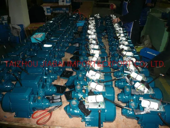 Pm16 Factory Directly Copper Wire Brass Impeller Electrical Peripheral Pump