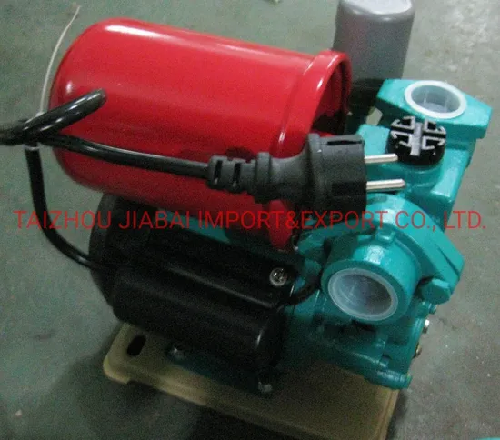 Pump Factory Self-Prming Pump Automatic Pump PS130