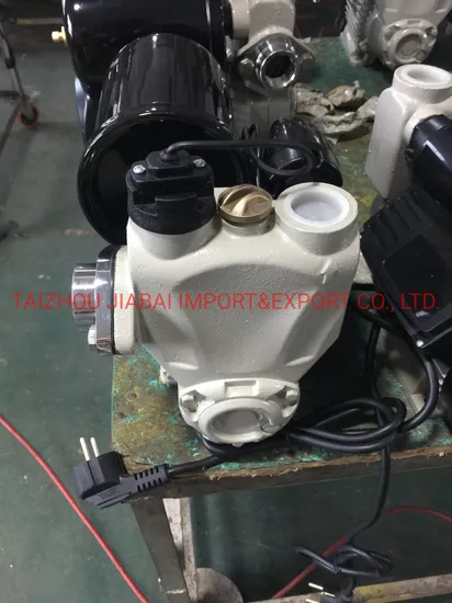 Pond Irrigation Self-Priming Auto Water Pump with Terminal Block