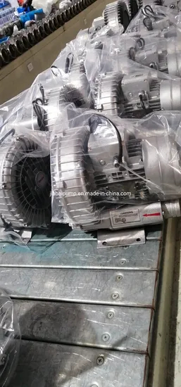 Industrial Single Stage Pool High Pressure High Efficiency 0.75kw/1HP Airring Blower