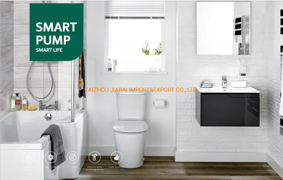 Mini No Noise 24V Smart Whole-House Shielded Hot Water Booster Pump