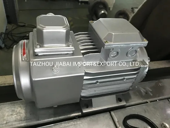 Yvf2 Series Variable-Frequency Adjustable-Speed Converter-Fed Three Phase Induction Motor