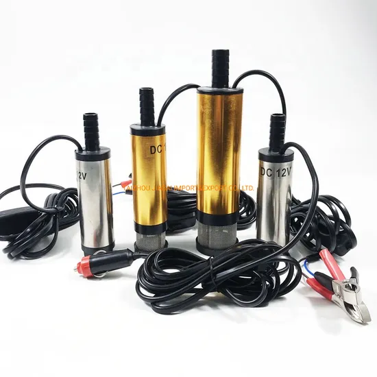 Mini 12L/Min High Quality Submersible Transfer Pump Fuel Water Oil