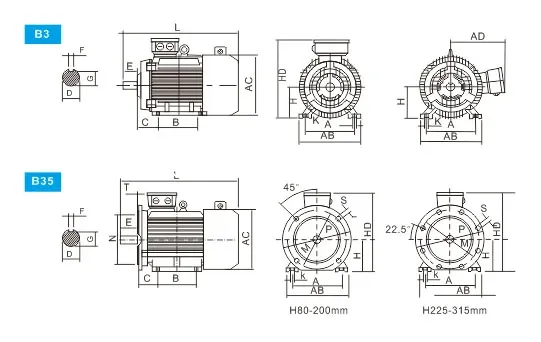 Variable-Frequency Adjustable-Speed Converter-Fed Three Phase Induction Motor for Driving Control