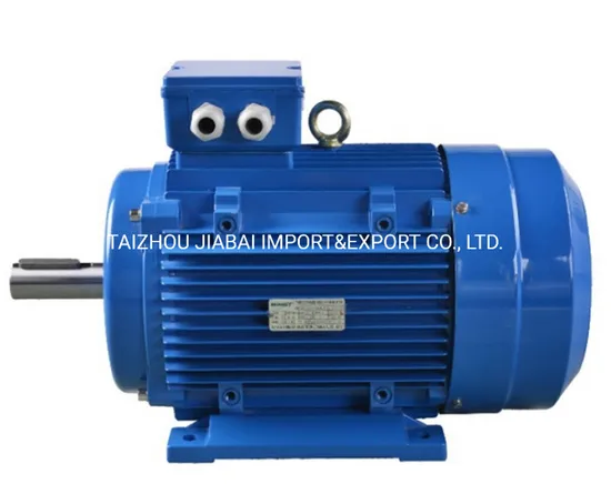 China Manufacturer Ms Series Electric Motor