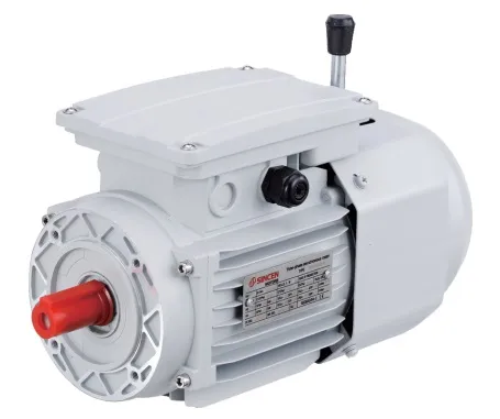 Durable Using High Quality Yej Series Electromagnetic Braking Asynchronous Motor