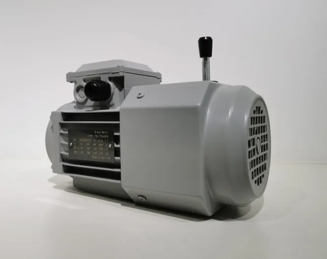 Durable Using High Quality Yej Series Electromagnetic Braking Asynchronous Motor