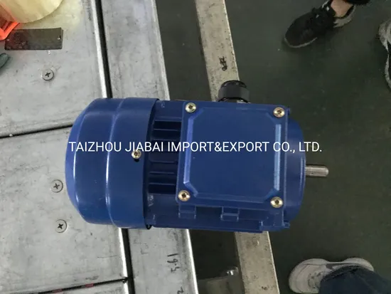 M Ms Three Phase Induction Motor with CE