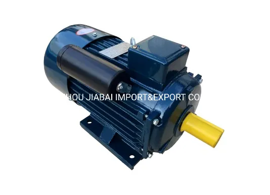 Yc Capacitor Start Single Phase Induction Electric Motor