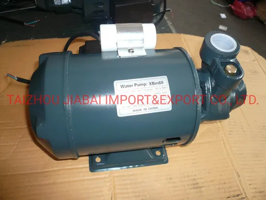 Electric Water Pump Small Pump for Domestic, 0.37kw/0.5HP Pm16