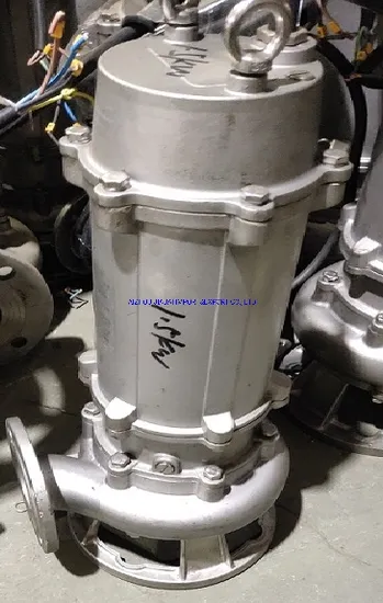 Wqd Series Submersible Dirty Water Sewage Slurry Pump
