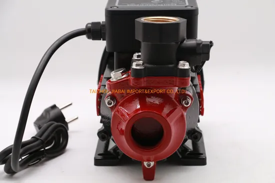 Smart Intelligent Qb60 Booster Hot Water Pump