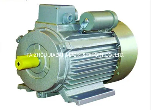 Yc High Efficiency Single Phase Induction AC Electric Asynchronous Motor