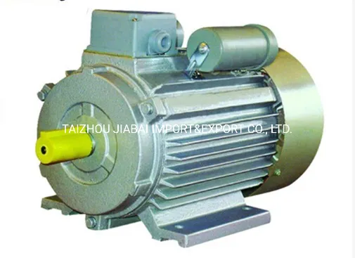 Yc High Efficiency Single Phase Induction AC Electric Asynchronous Motor