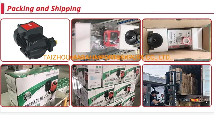 Intelligent System with Double Control of Pressure and Flow, Smart Centrifugal Hot Water Booster Pump