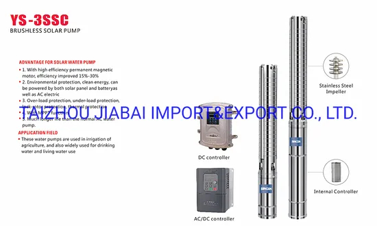 AC/DC Power 600W 80m High Pressure Powerful Solar Deep Well Submersible Pump