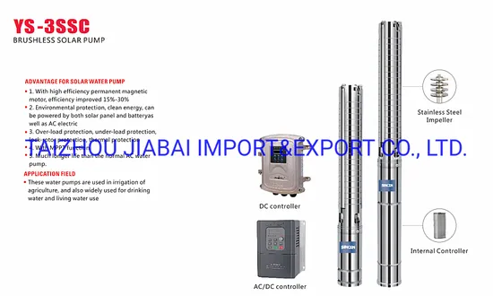 AC/DC Power 600W 80m High Pressure Powerful Solar Deep Well Submersible Pump