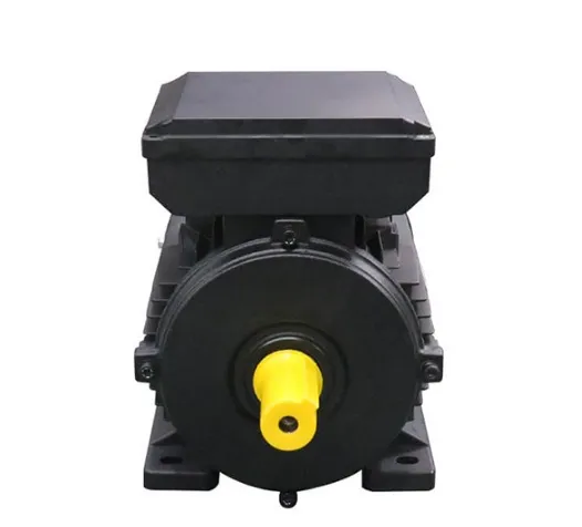 Ml Series Capacitor Start and Capacitor Run Single Phase Electric Motor