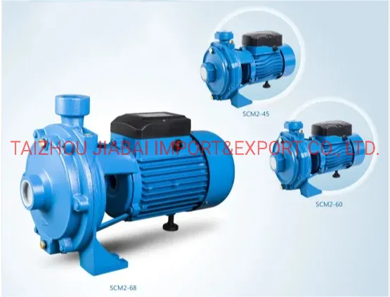 Scm2 Series (SCM60B) Clean Water Pump Centrifugal Pump