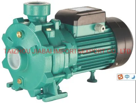 Scm2 Series (SCM60B) Clean Water Pump Centrifugal Pump