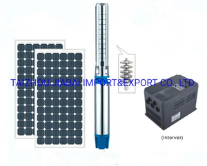 Popular Product 100% Copper Wire S/S Impeller AC&amp;DC Irrigation Submersible Solar Pump