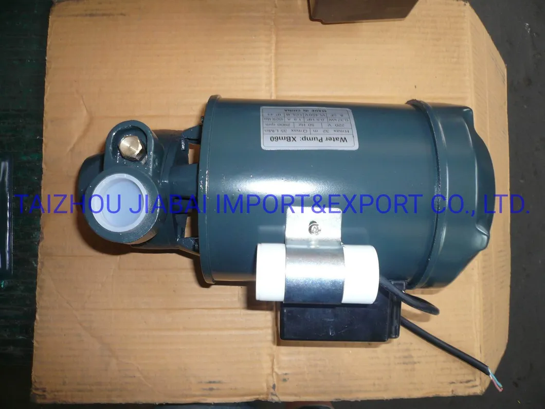 Pm16 Factory Directly Copper Wire Brass Impeller Electrical Peripheral Pump