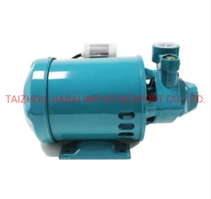 Pm16 Factory Directly Copper Wire Brass Impeller Electrical Peripheral Pump