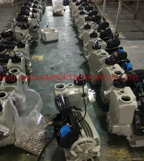 Domestic Electrical Auto Control Water Pump with Pressure Tank